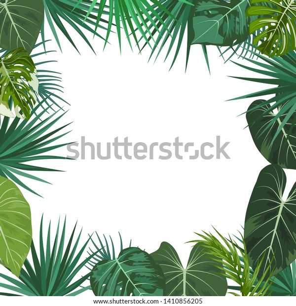 Vector Tropical Jungle Frame Palm Trees Stock Vector Royalty Free