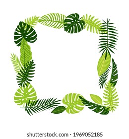 Vector tropical jungle palm, fern and monstera leaves. Square exotic frame with place for text. Green summer illustration 