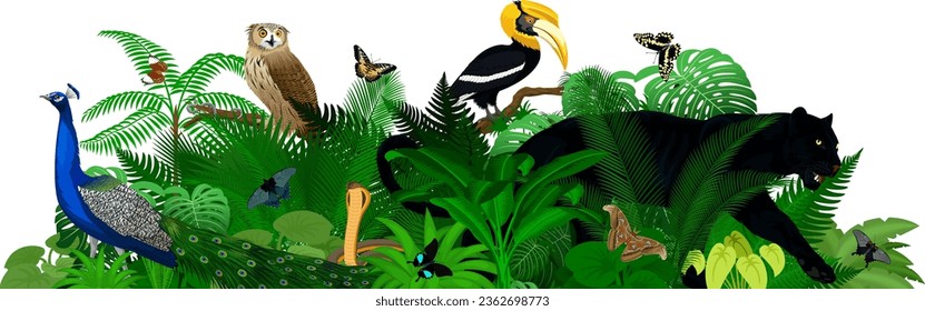 Ilustración de la selva tropical vectorial con animales.