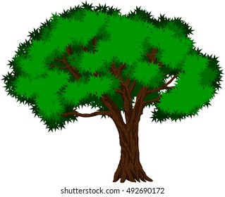 vector tropical jungle rainforest tree