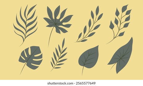 vector tropical leaf collection illustration flat