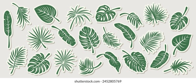 Vector Tropical Leaf Icon Set. Flat Monstera, Ficus, Banana Leaf, Dracaena, Sabal Palm Leaves Illustration, Isolated Stickers. Design Templates