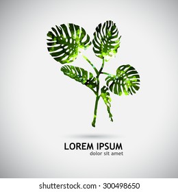  Vector tropical leaf. monstera mosaic