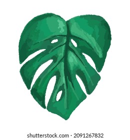 hoja tropical vectorial, monstera. ilustración acuarela de una planta exótica