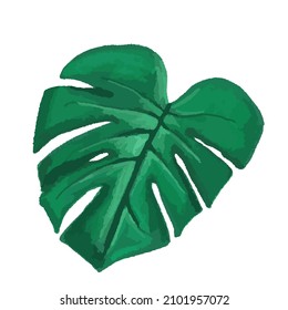 vector tropical leaf, monstera. watercolor illustration of an exotic plant on white