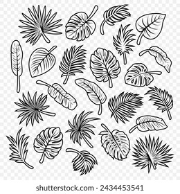 Vector Tropical Leaf Silhouette Icon Set. Flat Vector Monstera, Ficus, Banana Leaf, Dracaena, Sabal Palm Leaves with Outline, Isolated. Design Templates for Home Decor, Invitations, Print
