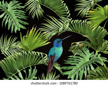 Vector tropical leaves banner with hummingbird on black background. Exotic botanical design for cosmetics, spa, perfume, health care products, aroma, wedding invitation.