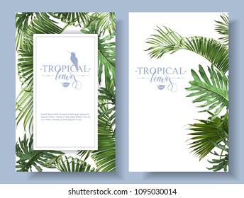 Carteles de hojas tropicales vectoriales sobre fondo blanco. Diseño botánico exótico para cosméticos, spa, perfume, productos de salud, aroma, invitación a la boda. Con lugar para texto