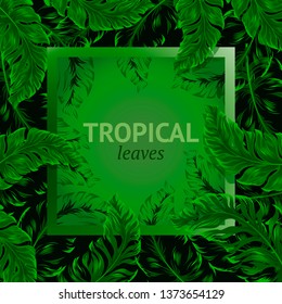 Vector tropical leaves banners on green background. Exotic botanical design for cosmetics, spa, perfume, health products, fragrance, wedding invitations. 