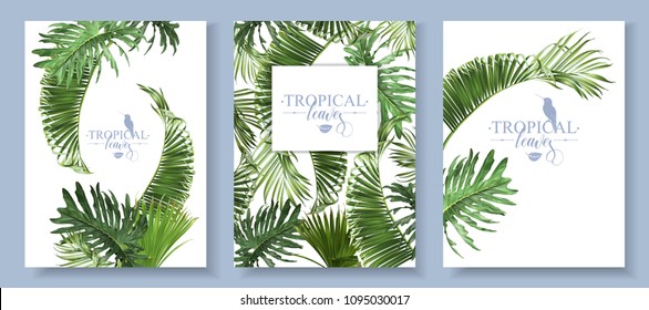 Vector tropical leaves banners set on white background. Exotic botanical design for cosmetics, spa, perfume, health care products, aroma, wedding invitation. With place for text