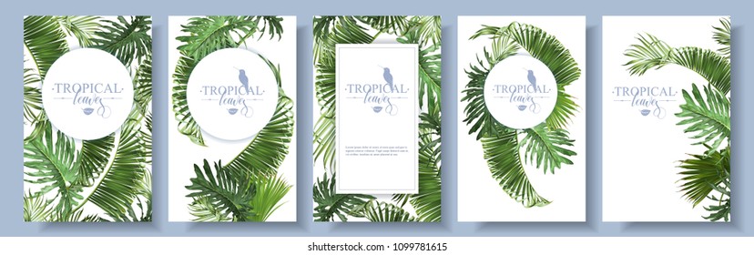 Vector tropical leaves banners set on white background. Exotic botanical design for cosmetics, spa, perfume, health care products, aroma, wedding invitation. With place for text