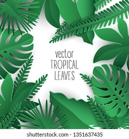 vector tropical leaves collection with shadows on white background