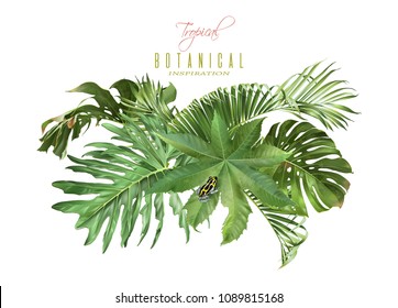 Vector tropical leaves composition with little frog on white background. Exotic botanical design for cosmetics, spa, perfume, health care products, aroma, wedding invitation. With place for text