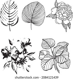 Vector tropical leaves elements in freehand sketch style isolated on white background. 