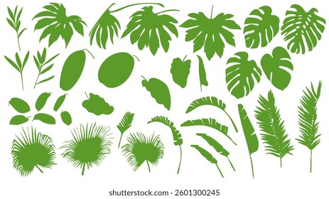 Vector Tropical Leaves. Exotic Palm Summer Forest Silhouettes. Jungle Trees Botanical Illustration. Graphic Plants Outlines Isolated Background. Monstera Abstract Foliage Icons.