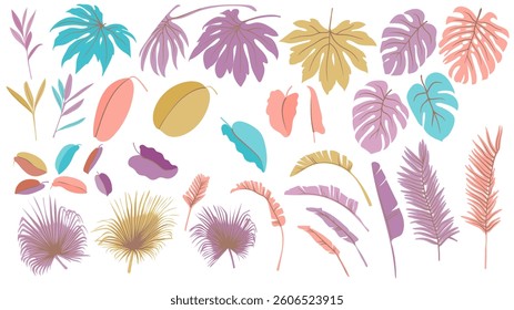 Vector Tropical Leaves. Exotic Palm Summer Forest Silhouettes. Jungle Trees Botanical Illustration. Graphic Plants Outlines Isolated Background. Monstera Abstract Foliage Icons.