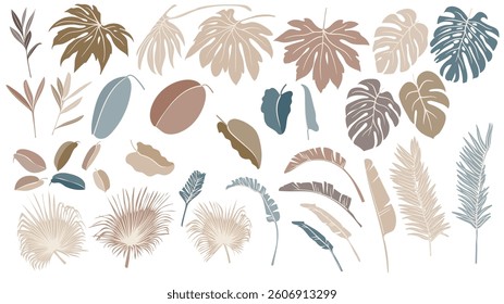 Vector Tropical Leaves. Exotic Palm Summer Forest Silhouettes. Jungle Trees Botanical Illustration. Graphic Plants Outlines Isolated Background. Monstera Abstract Foliage Icons.