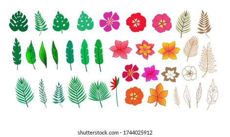 Vector tropical leaves and flowers collection.