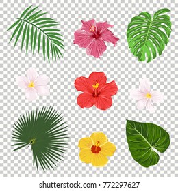 Vector tropical leaves and flowers icon set isolated on transparency grid background. Palm, banana leaf, hibiscus and plumeria flowers. Jungle tree design templates. Botanical and floral collection