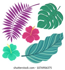 Vector tropical leaves. Hand drawn isolated leaves illustration