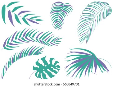 Vector tropical leaves illustration
