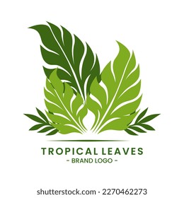 Vector of tropical leaves logo design with three leaves green color isolated on a white background