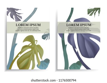 Vector tropical leaves monstera on white background. Exotic botanical design for cosmetics, aroma, wedding invitation. With place for text.
