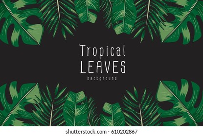 Vector of tropical leaves on black background.Illustration of green leaf.