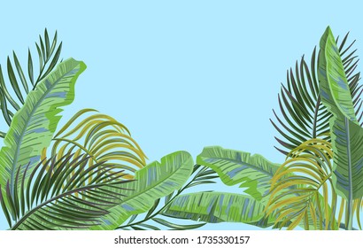 Vector tropical leaves on blue background. Exotic botanical background design. Vector backdrop with green palm and banana leaves on blue background. Beach vacation concept.