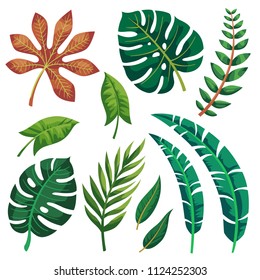 Vector tropical leaves on white background.