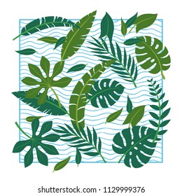 Vector tropical leaves on white background.
