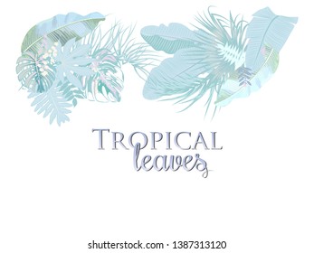 Vector tropical leaves on white background in trendy pastel colors. Can be used for brochure template, poster, wedding invitation or card design with jungle leaves. Exotic botanical design for cover.