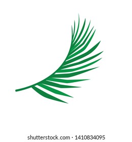 Vector tropical  leaves on white background. Quality watercolor imitation. Not trace. - Vector