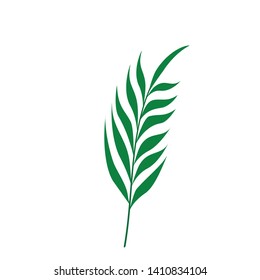 Vector tropical  leaves on white background. Quality watercolor imitation. Not trace. - Vector