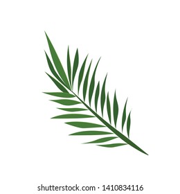 Vector tropical  leaves on white background. Quality watercolor imitation. Not trace. - Vector