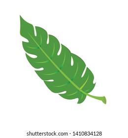 Vector tropical  leaves on white background. Quality watercolor imitation. Not trace. - Vector