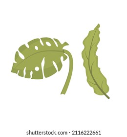 Vektortropische Blätter auf weißem Hintergrund einzeln.Der Satz besteht aus Monstera und tropischem Gras