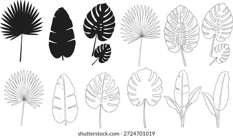 Vector, tropical, leaves, palm, monstera, banana, foliage, botanical, nature, summer, exotic, jungle, element, black, white, silhouette, outline, line, art