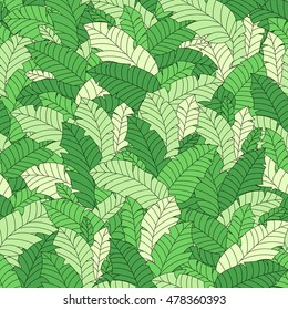 Vector tropical leaves seamless hand drawn pattern. Plant floral green wallpaper. Jungle tree nature summer background. Hawaii banana leaf design illustration. Paradise organic garden print