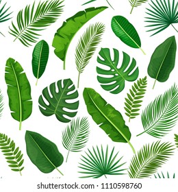 Vector tropical leaves seamless pattern. Jungle exotic banana leaf, philodendron, areca palm, royal fern and plumeria. Background summer tropical paradise design vacation.