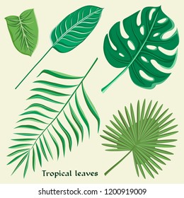 Vector tropical leaves set