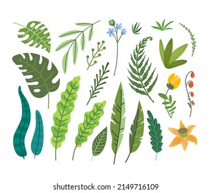Hojas tropicales vectoriales. Hermosa ilustración vectorial colorida para su diseño.