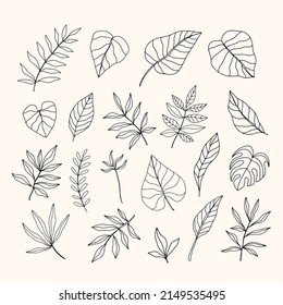 Vector Tropical Leaves set, hand drawn design elements. Floral botanical drawings. Hand drawn ink foliage sketches collection, Leaf and branch silhouette vintage style. Vector illustration