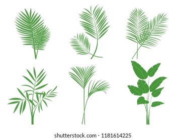 Vector tropical leaves set. , jungle leaves set 