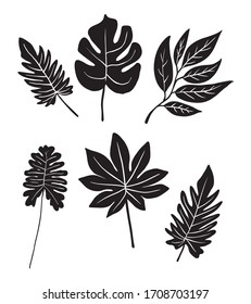 Vector tropical leaves silhouette set isolated on white background. Summer exotic flora. Jungle monstera leaf. Illustration for your design. digital printing