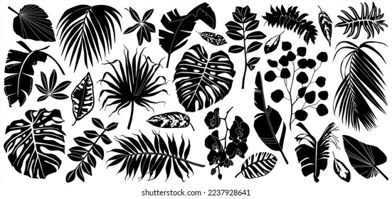 Siluetas de hojas tropicales vectoriales. Conjunto monocromo