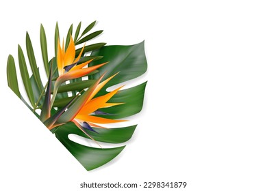 Vektor tropische Blätter und Strelitzia Blumenzusammensetzung.