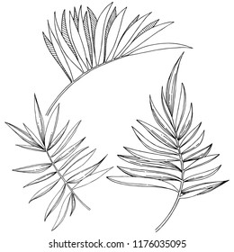 Vector tropical leaves in a watercolor style isolated. Vector leaf for background, texture, wrapper pattern, frame or border.