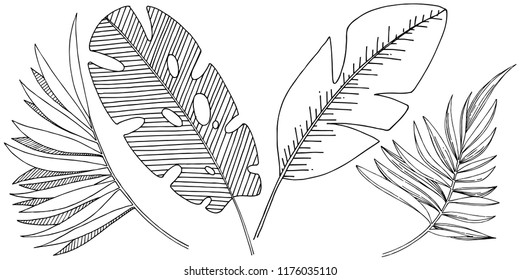 Vector tropical leaves in a watercolor style isolated. Vector leaf for background, texture, wrapper pattern, frame or border.