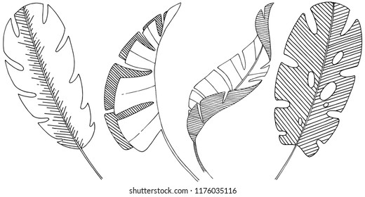 Vector tropical leaves in a watercolor style isolated. Vector leaf for background, texture, wrapper pattern, frame or border.
